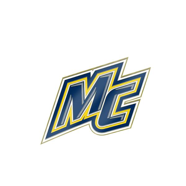 Brass Lapel Pin; $12.99