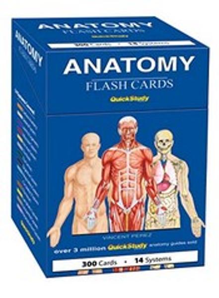 BarCharts / Anatomy Flash Cards; $39.95