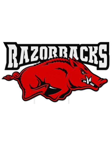 Arkansas Razorbacks 24" 3 Color Metal Sign Running Hog; $179.99