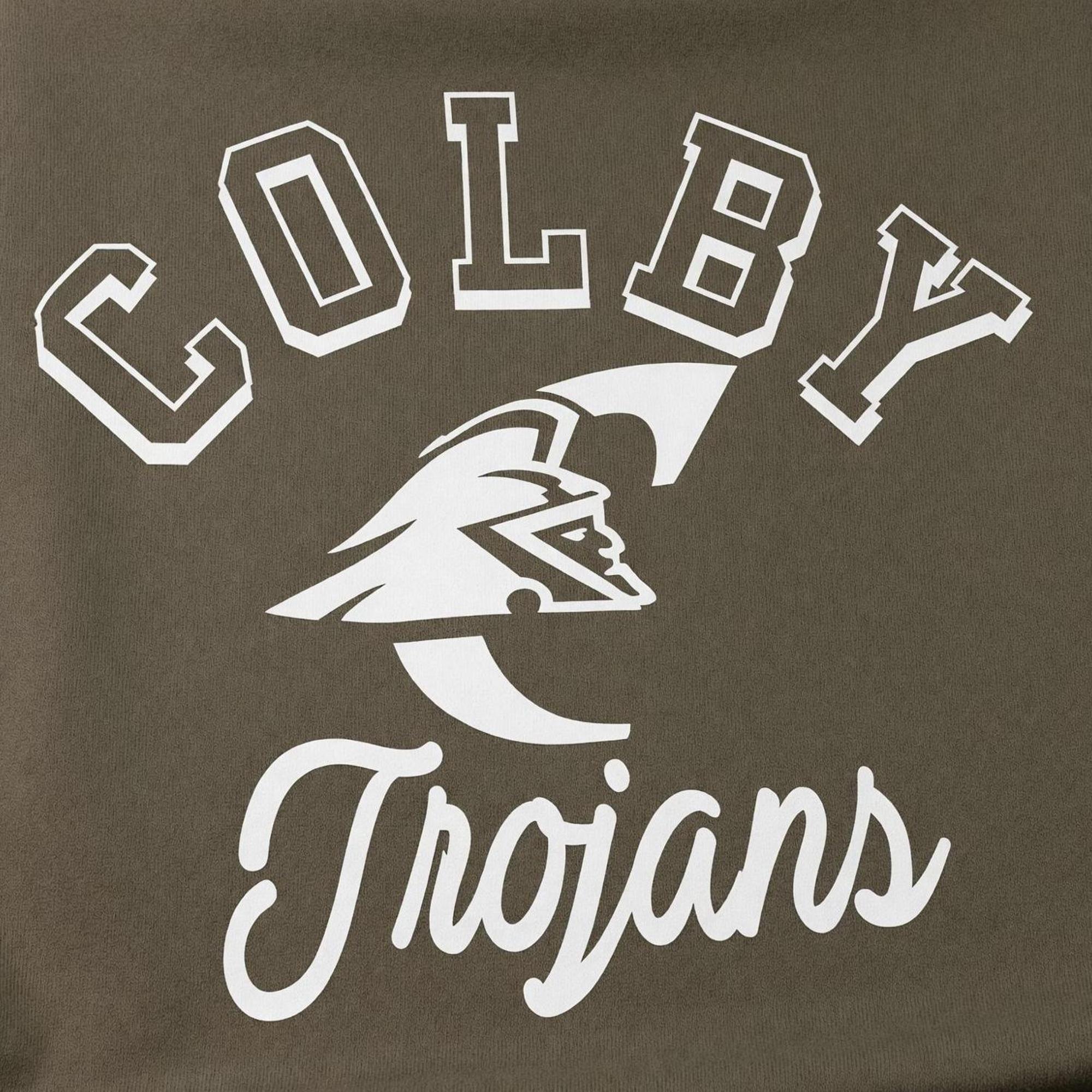 Variant 13 of 17 for Sweatshirt Blanket