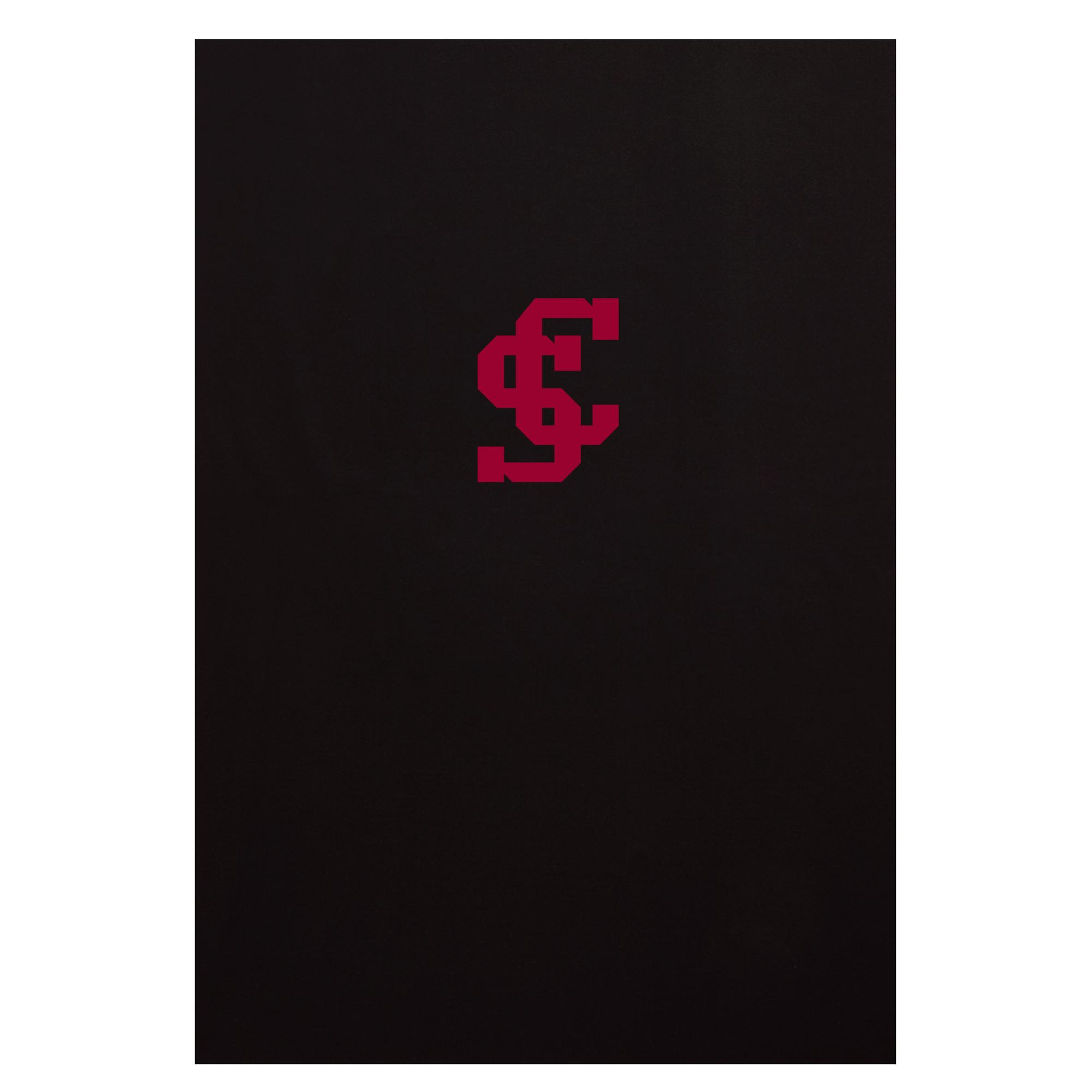Product image 1 of 1 for Santa Clara Broncos Pro-Weave Sweatshirt Blanket, Black