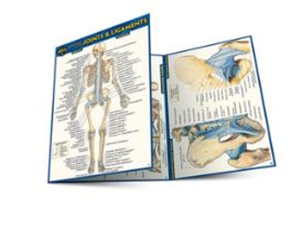 BarCharts / Anatomy of The Nervous System  Pocket Guide; $4.95