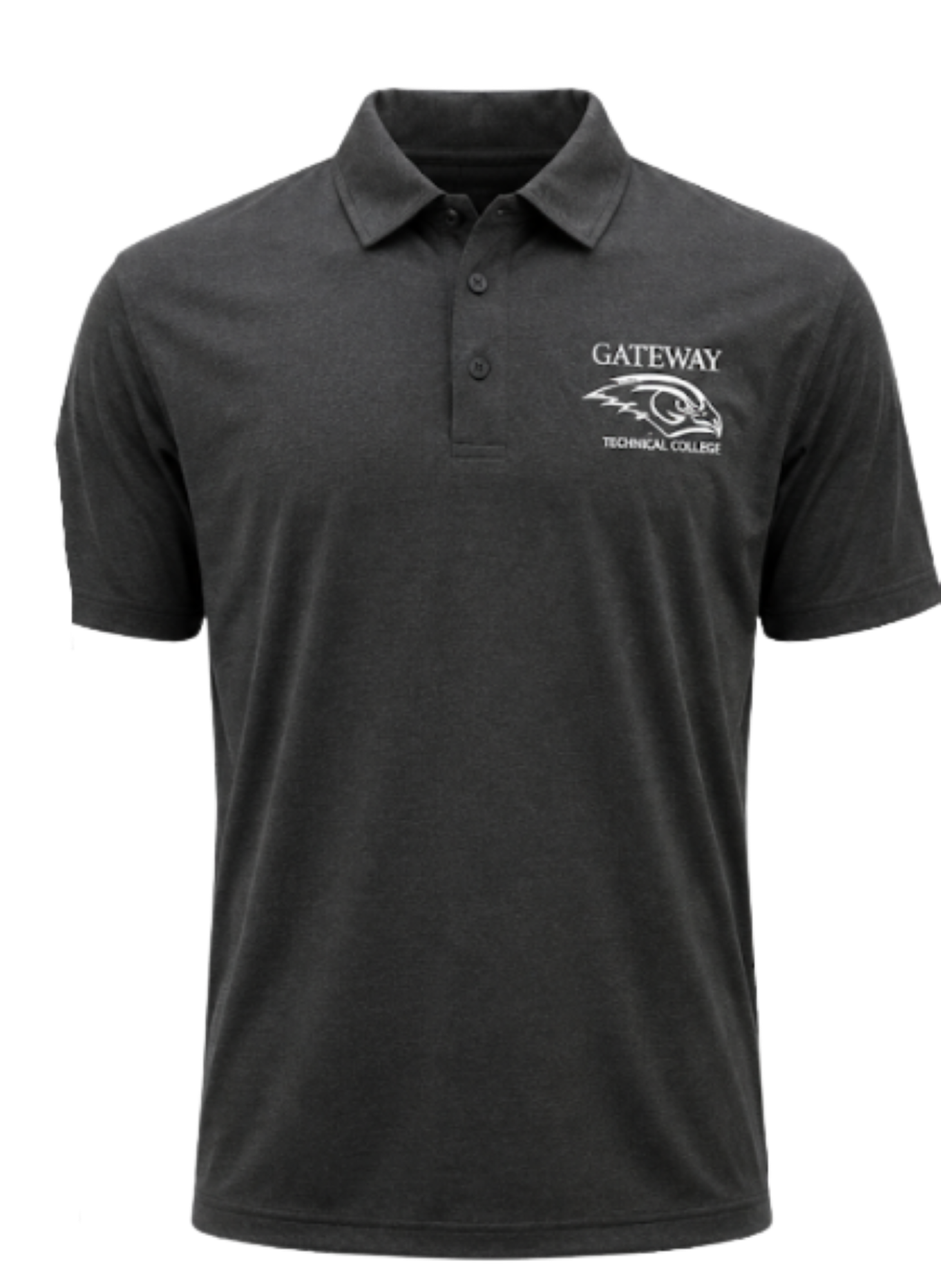 Variant 2 of 2 for GTC Polo Vertex