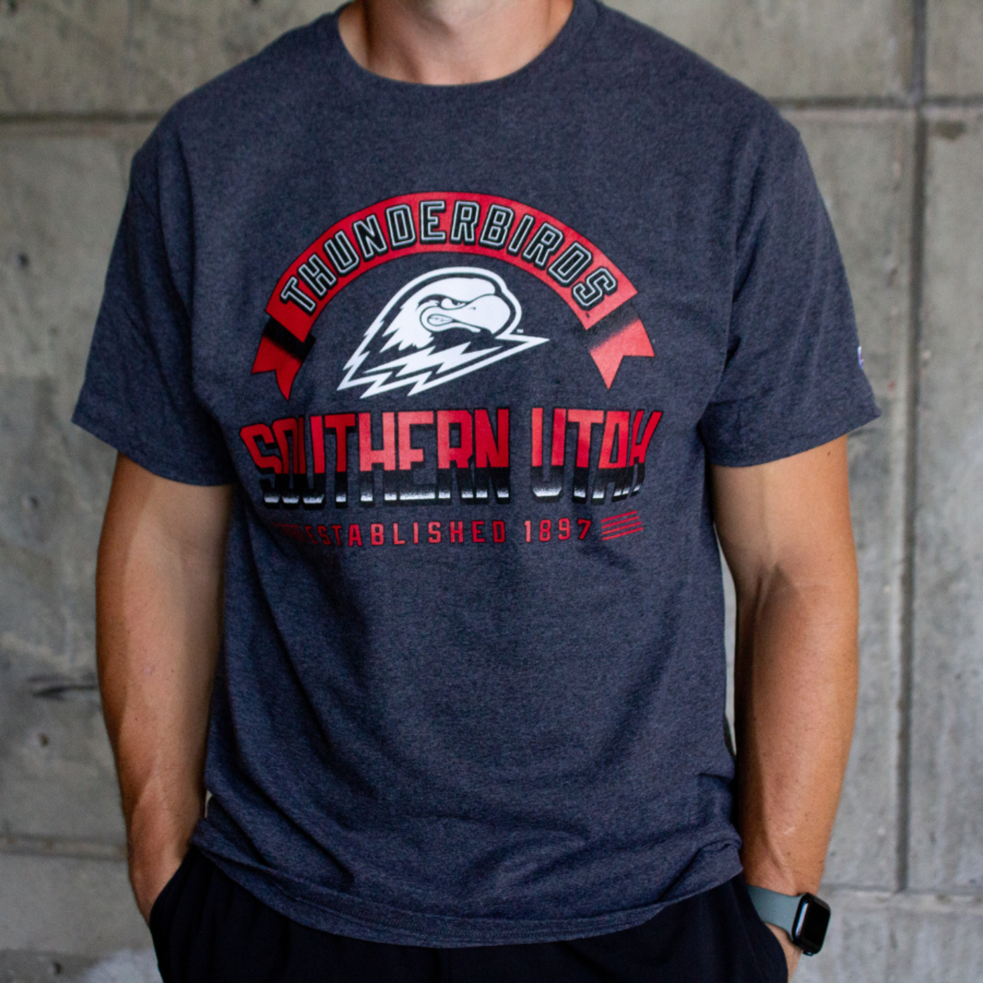 Enlarged product image