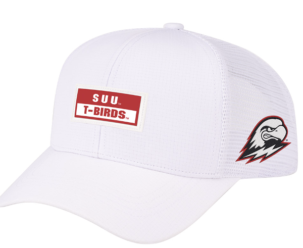 COLOSSEUM HAT WHITE SUU T-BIRDS RUBER PATCH FRONT THOR SIDE; $34.00