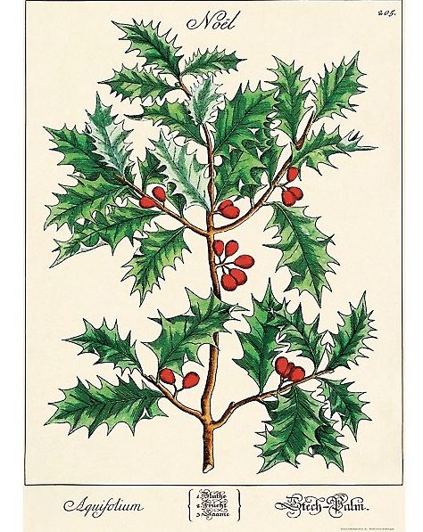 image of: Cavallini & Co. Holiday Decorative Posters