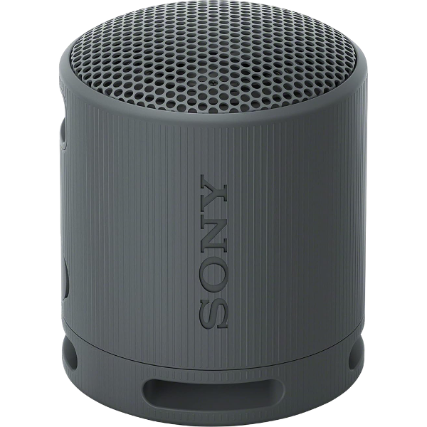 Sony Portable Wireless Speaker; $64.99