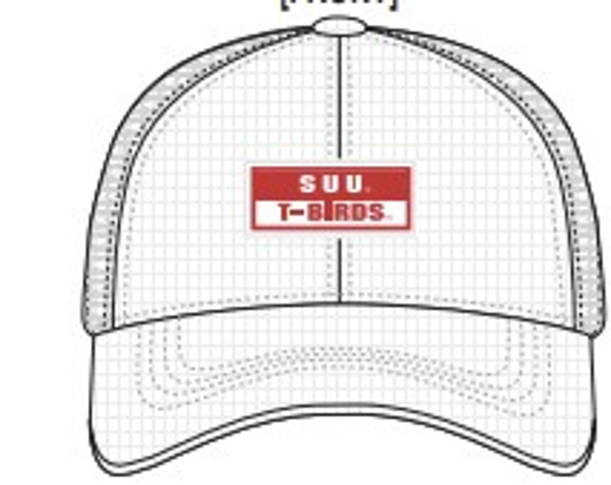 Product image 1 of 1 for COLOSSEUM HAT WHITE SUU T-BIRDS RUBER PATCH FRONT THOR SIDE