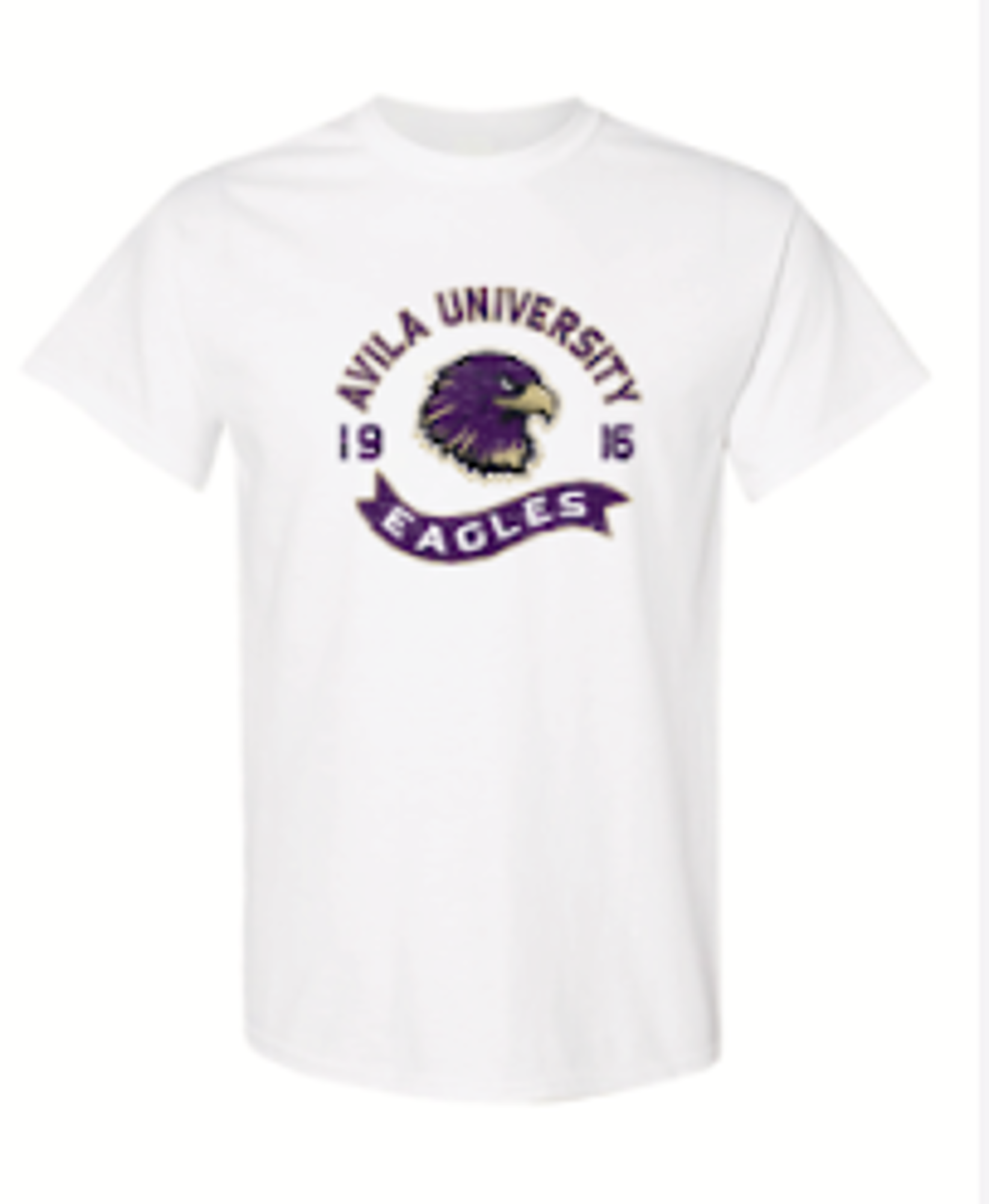 image of: AU ss tee arch eagles banner wht