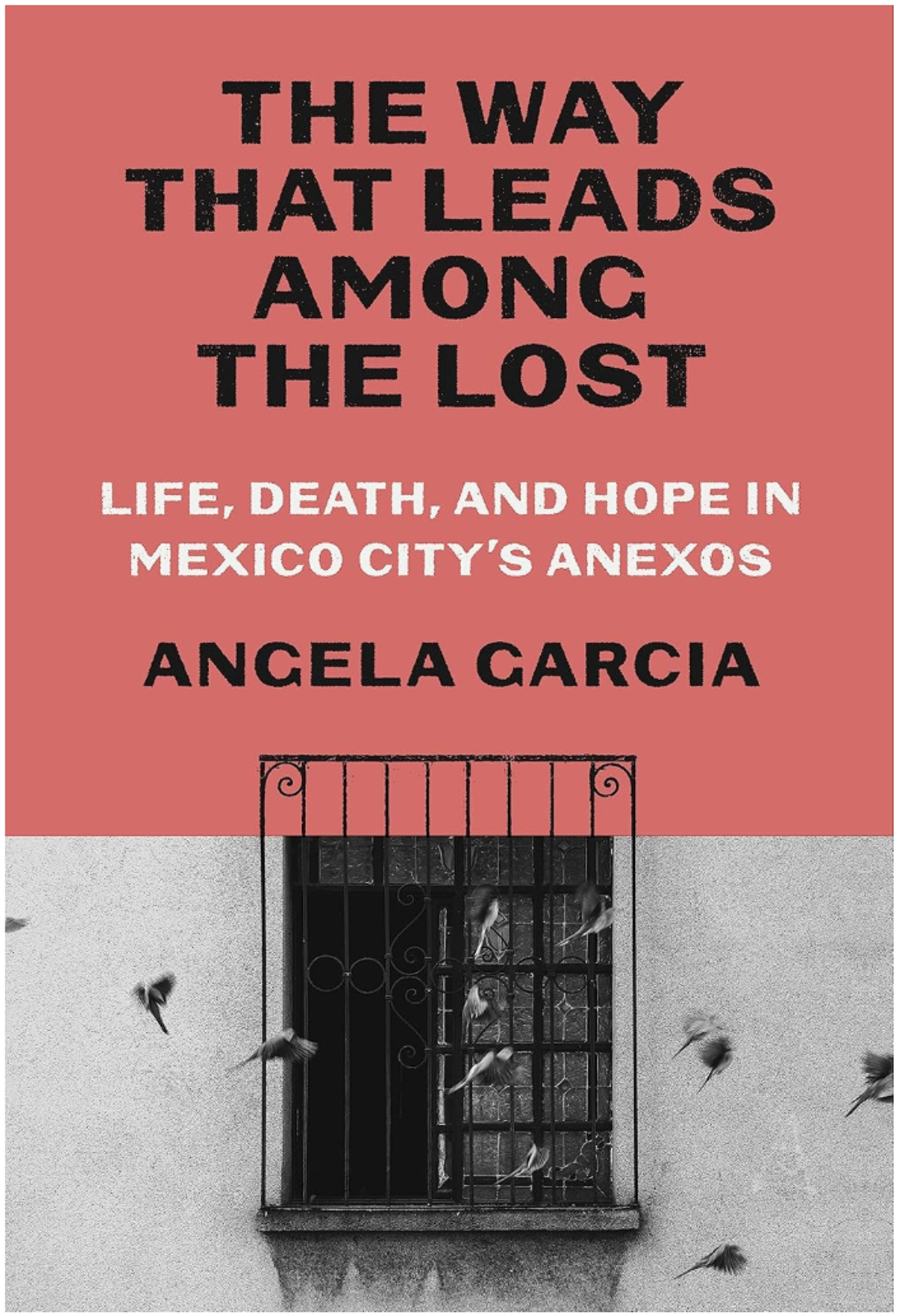 Cover image for THE WAY THAT LEADS AMONG THE LOST