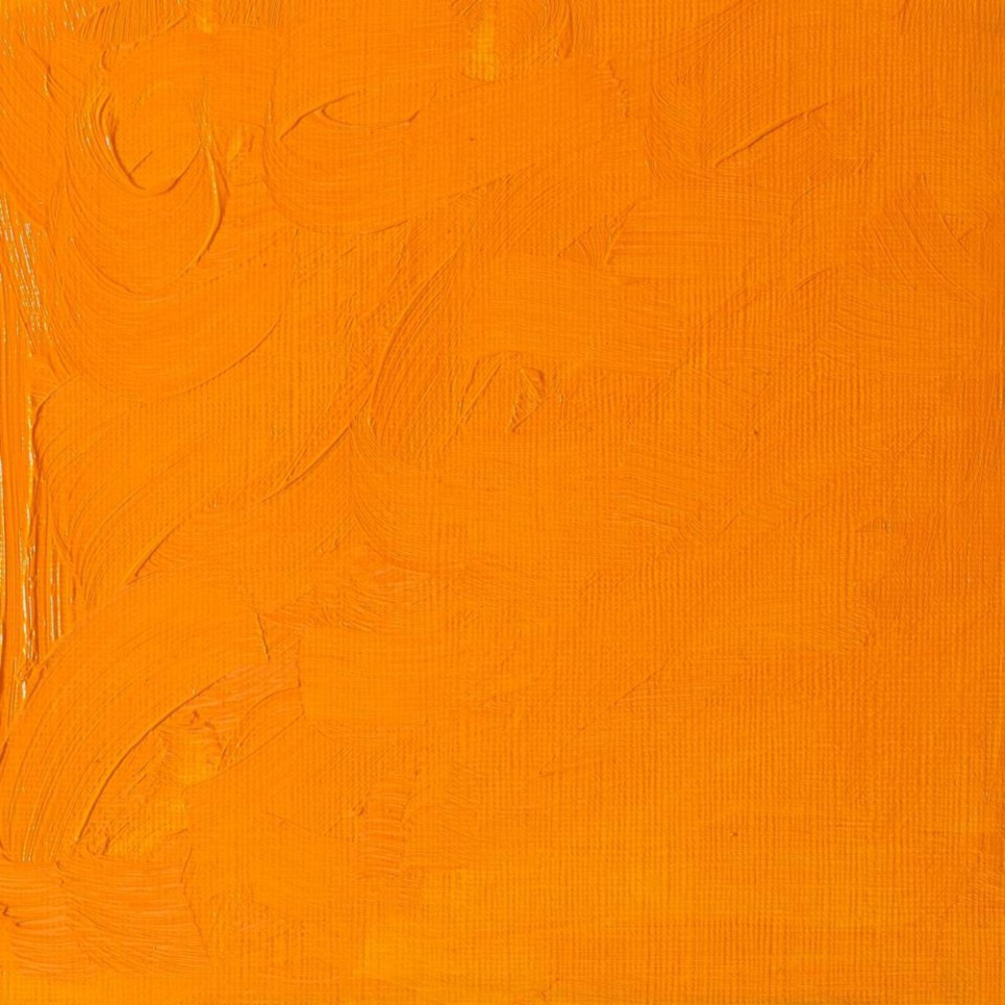 Variant image 11