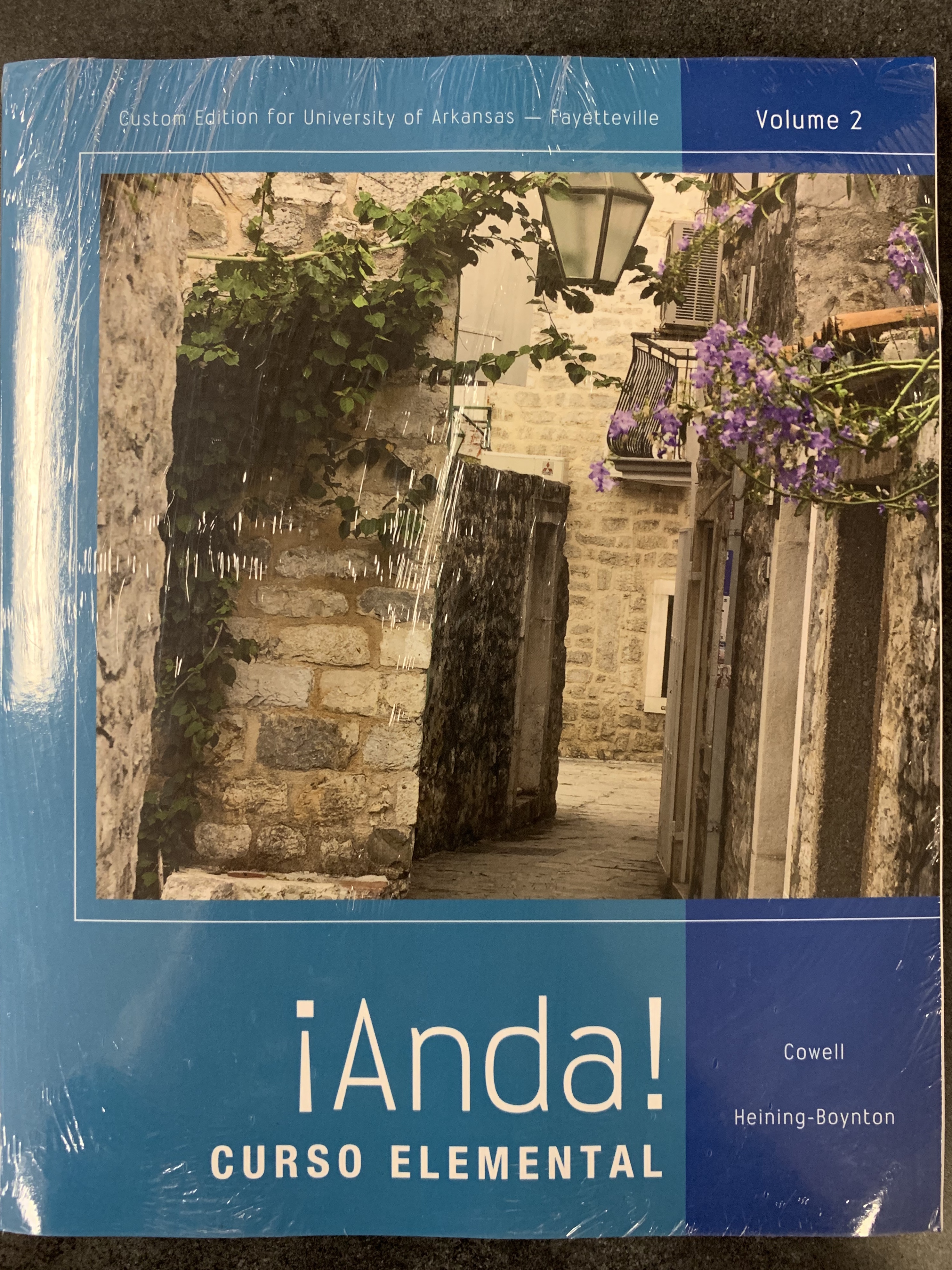 Cover image for ANDA CURSO ELEMENTAL VOL 2 W/MSL