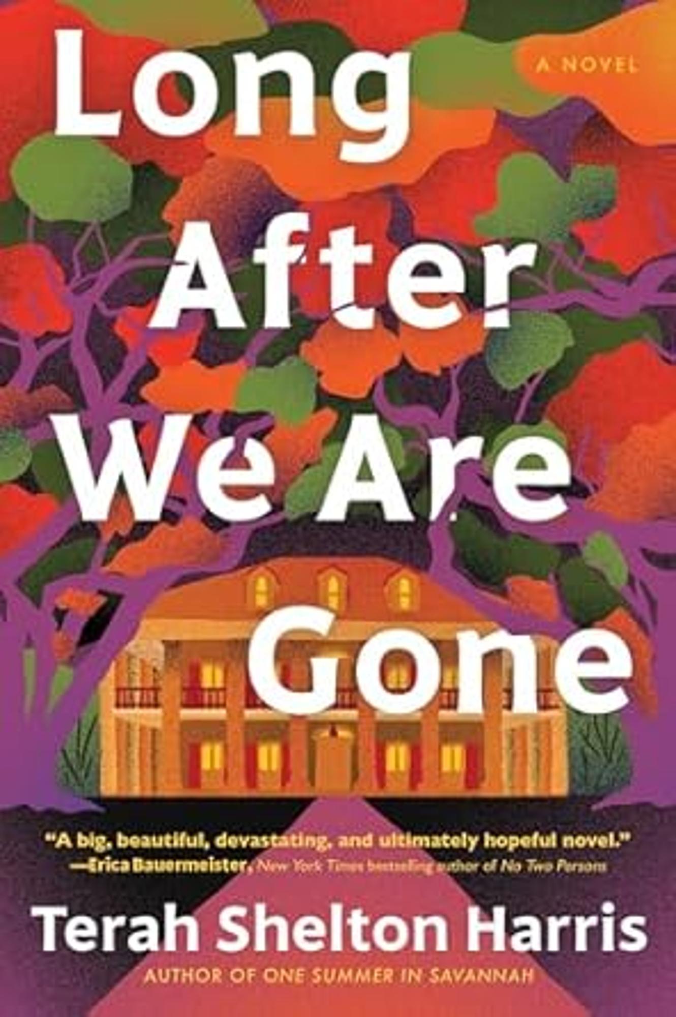 Cover image for LONG AFTER WE ARE GONE