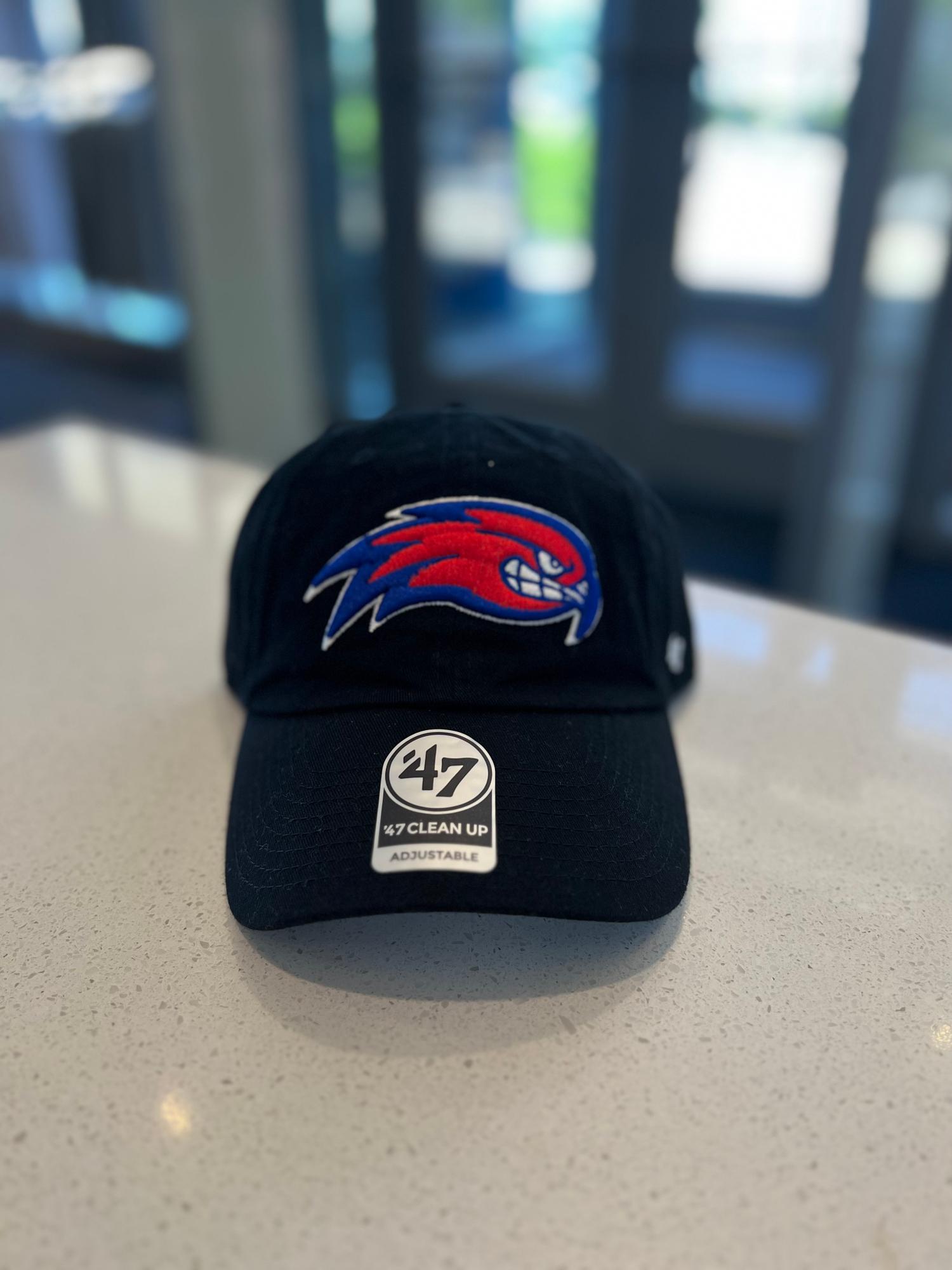 Enlarged product image