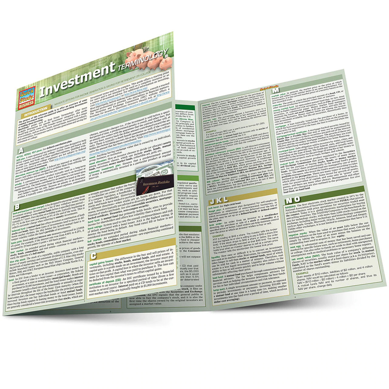 Cover image for INVESTMENT TERMINOLOGY LAMINATED STUDY GUIDE