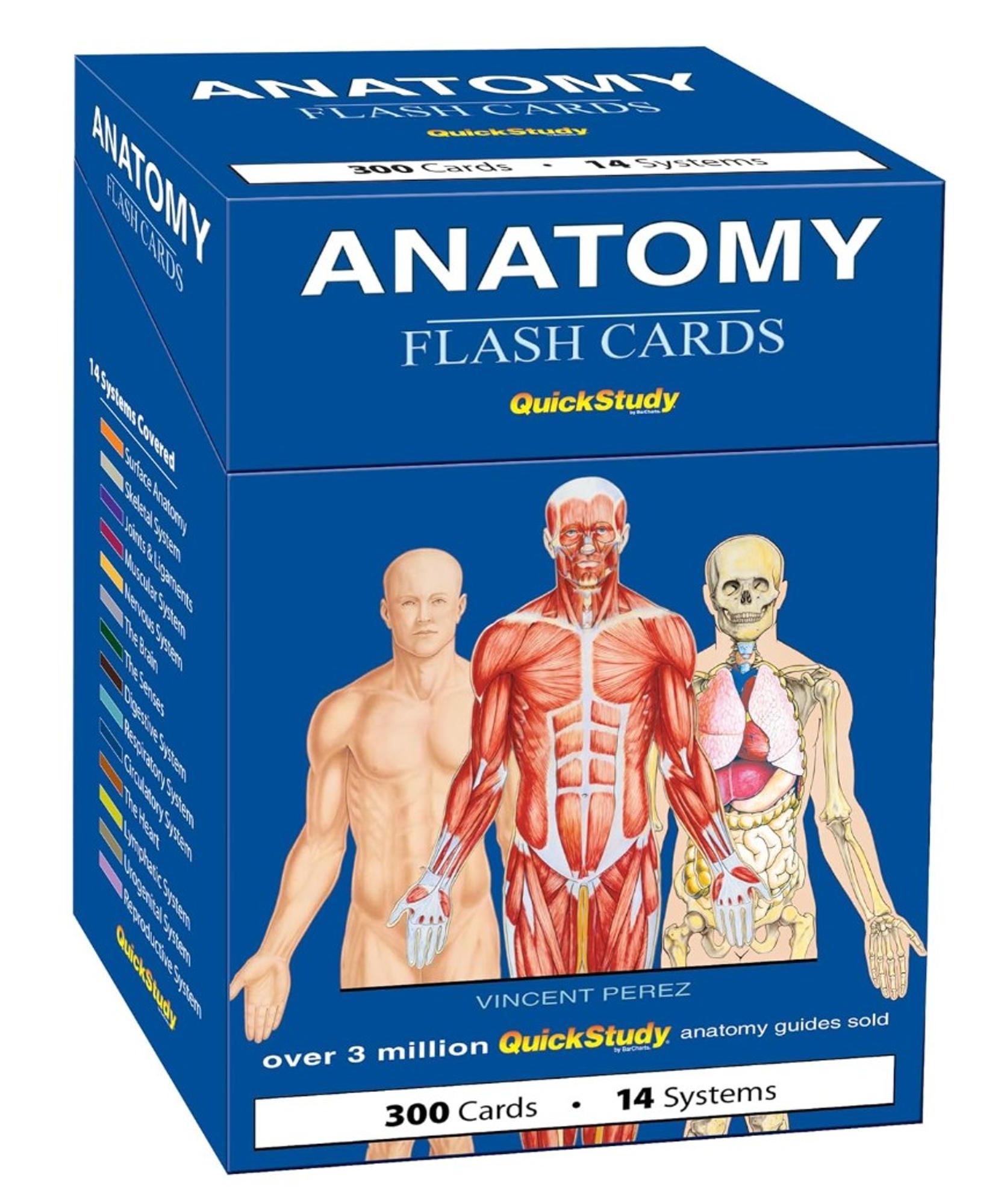 Cover image for ANATOMY FLASH CARDS