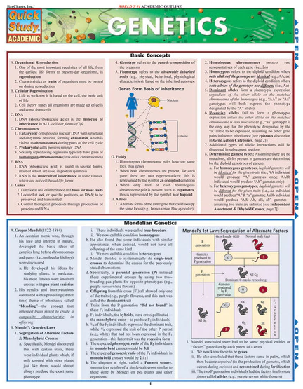 Cover image for GENETICS LAMINATED STUDY GUIDE