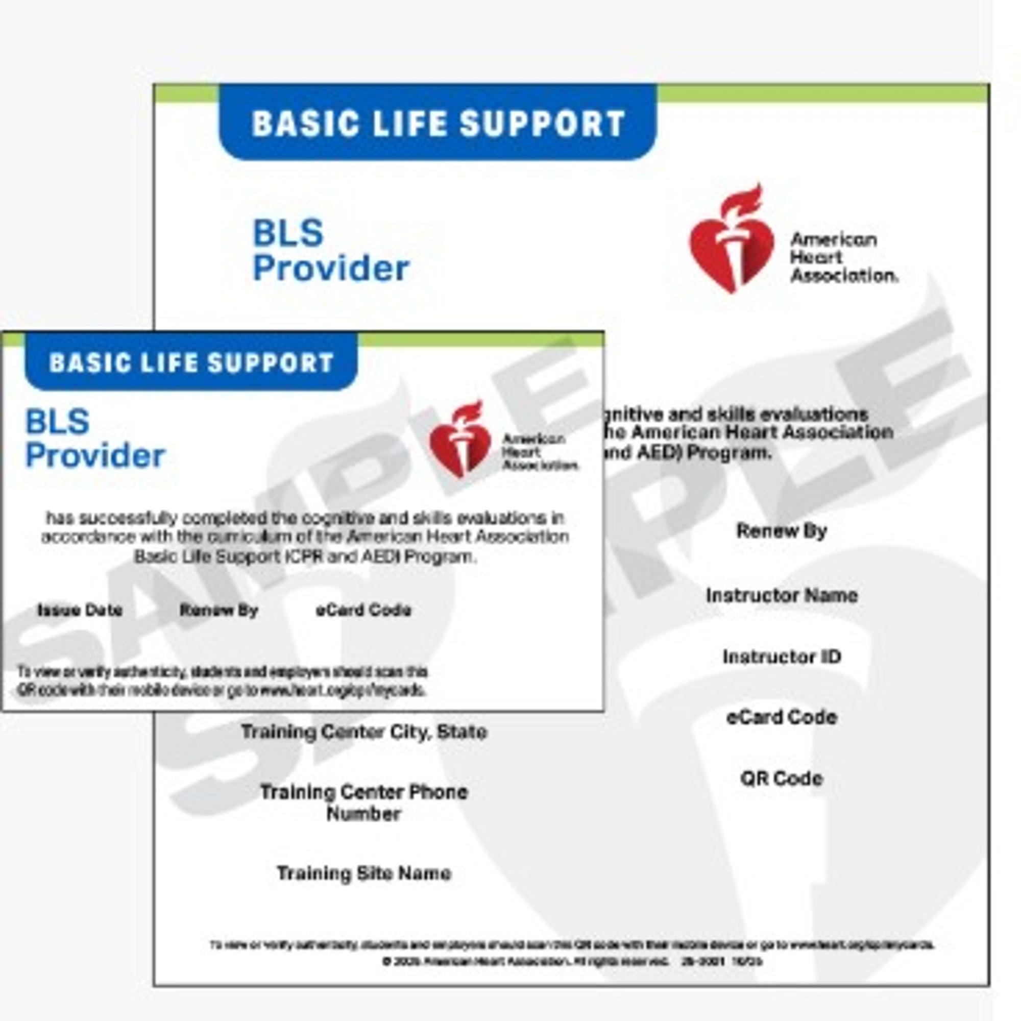 Cover image for BLS PROVIDER ECARD 2025 - #25-3001