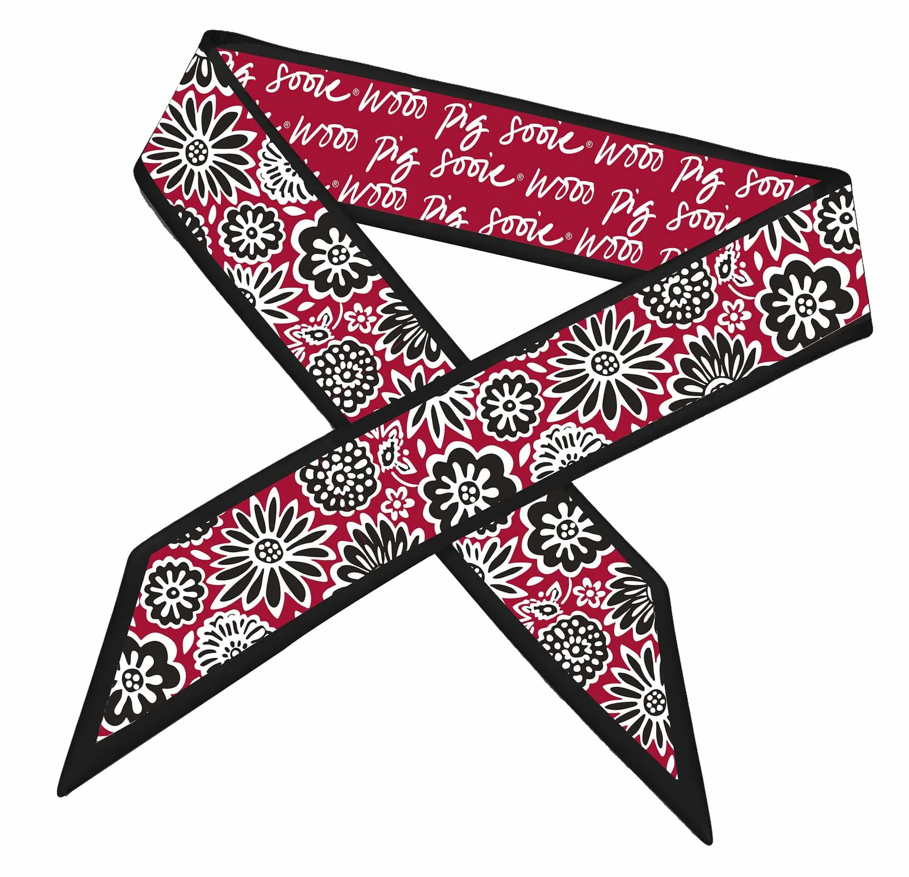 Product image 1 of 1 for Arkansas Razorbacks Skinny Scarf