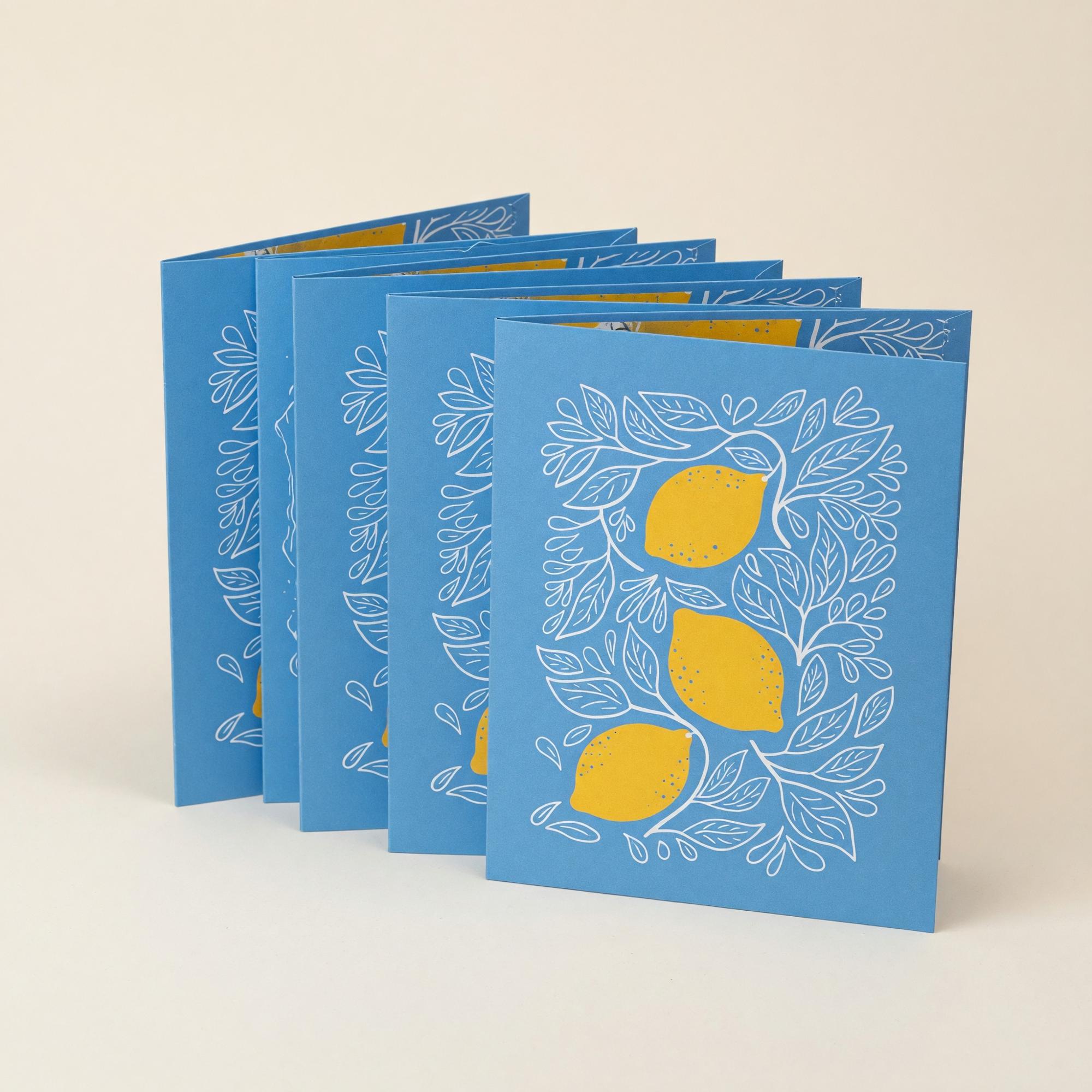 Product image 1 of 2 for FOLDER 2 POCKET Studio Series Set 2