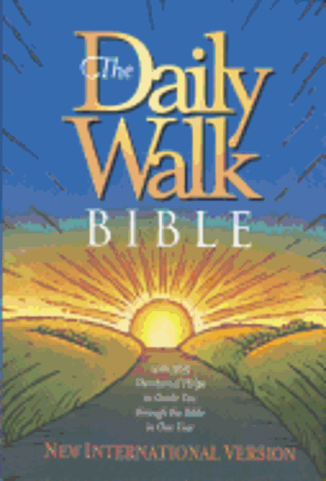 Cover image for The Daily Walk Bible NIV