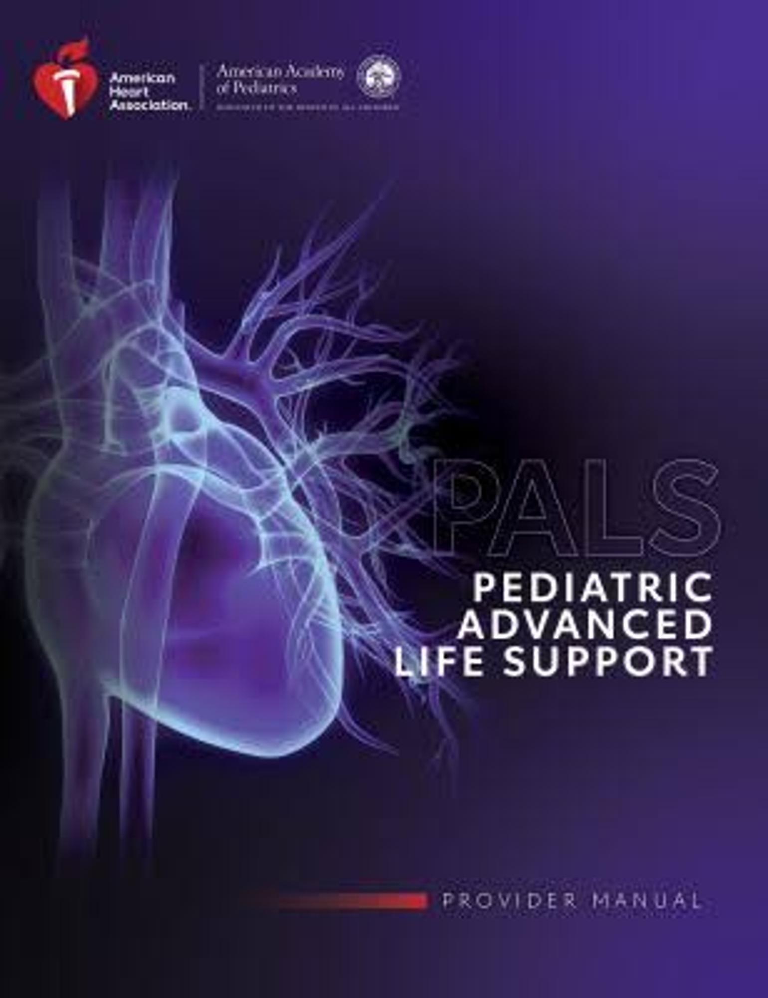 Cover image for PALS - Pediatric Advanced Life Support Provider Manual