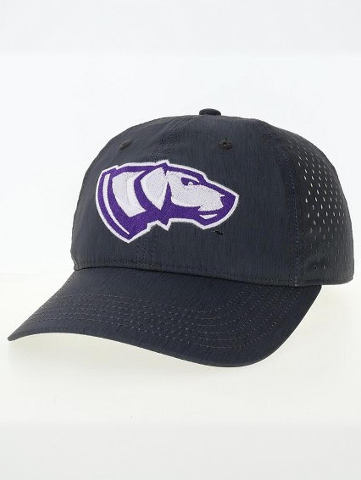 Product image 1 of 1 for UWSP Pointers Reclaim Eco Mesh Cap, Black