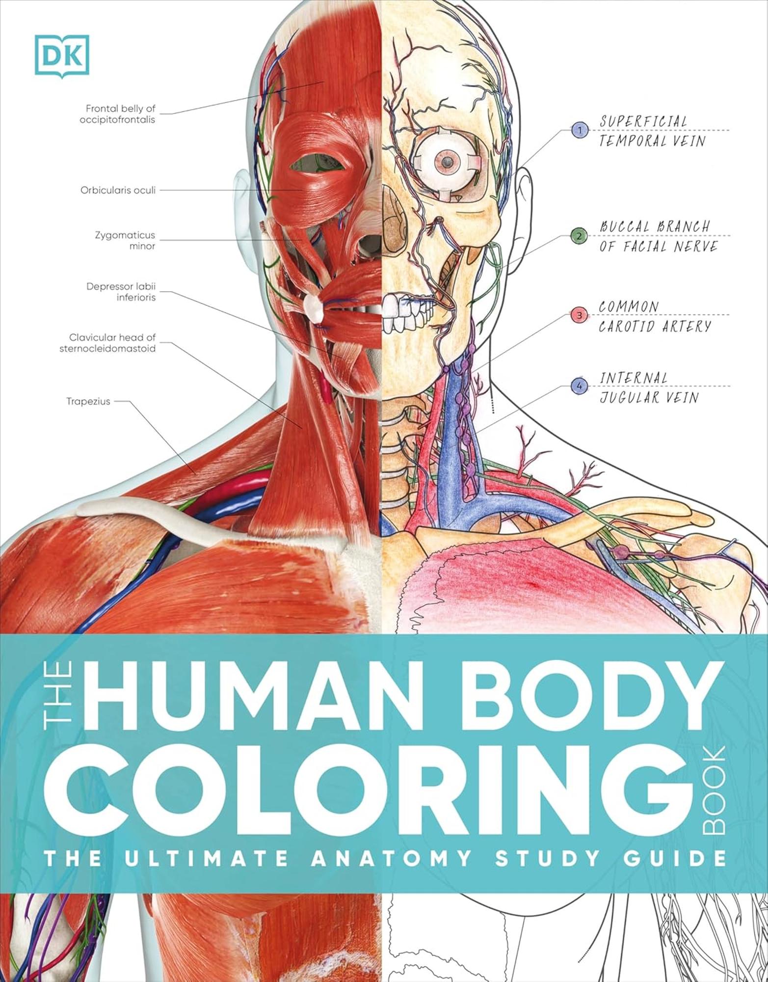 Cover image for The Human Body Coloring Book