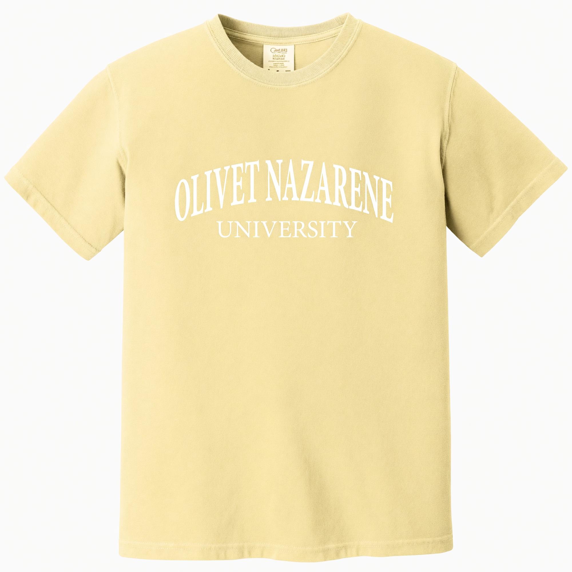 Product image 3 of 3 for Olivet Comfort Color Tee