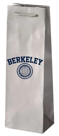 Product image 1 of 1 for Matte Laminated Bottle Gift Bag Seal