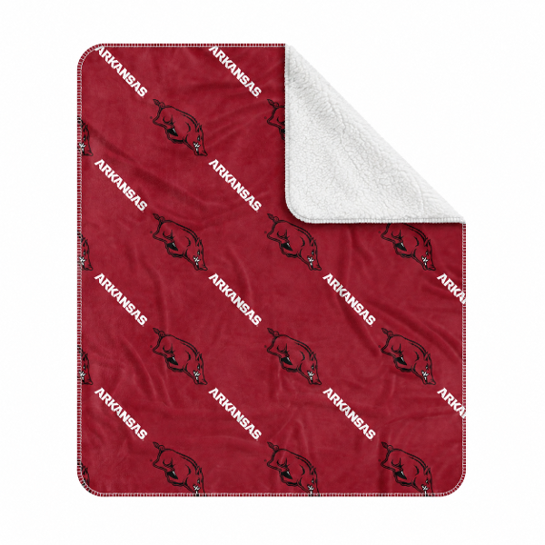 Arkansas Razorbacks Sherpa Throw Blanket; $34.98