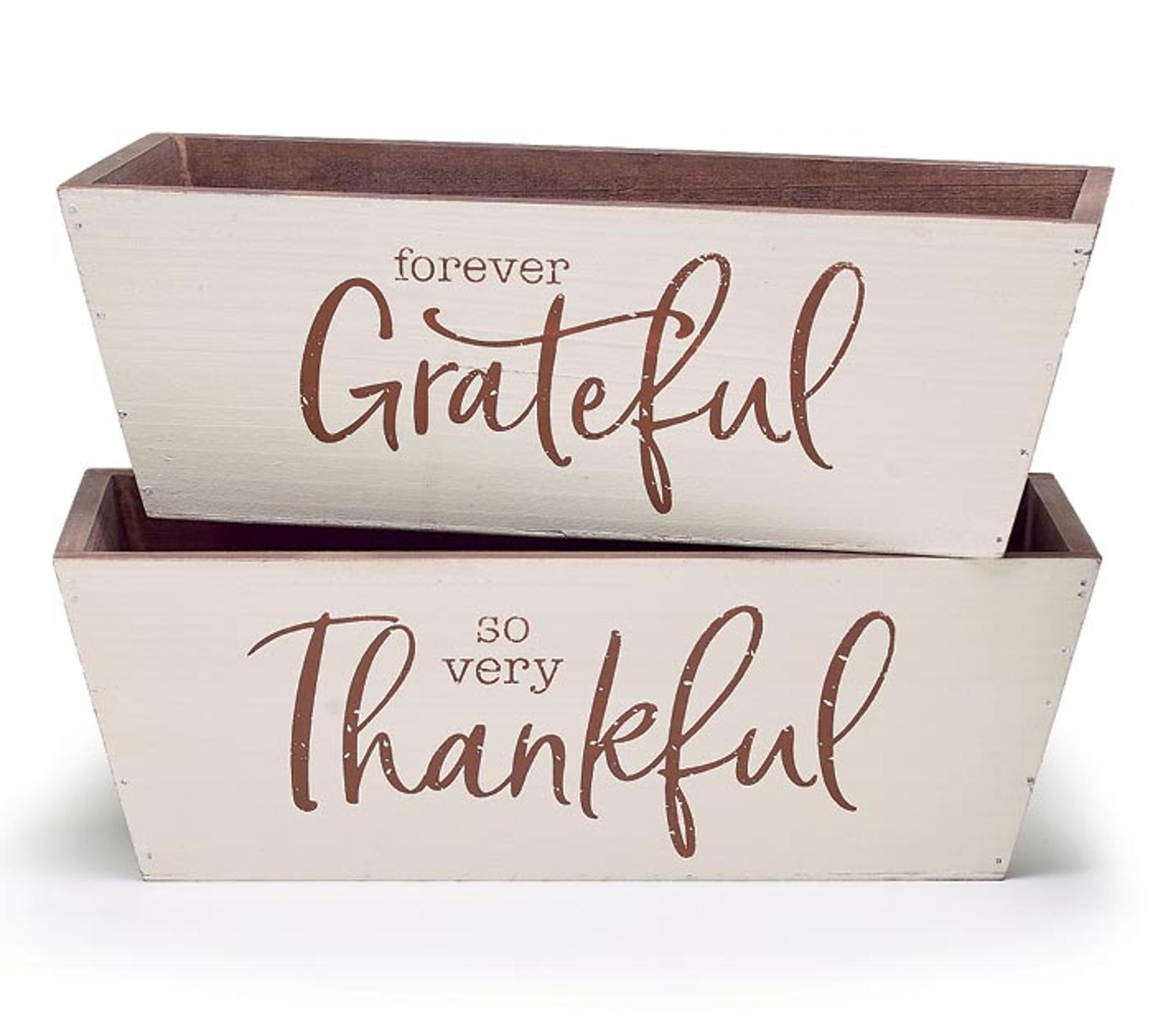 image of: Burton Planter so Very Thankful