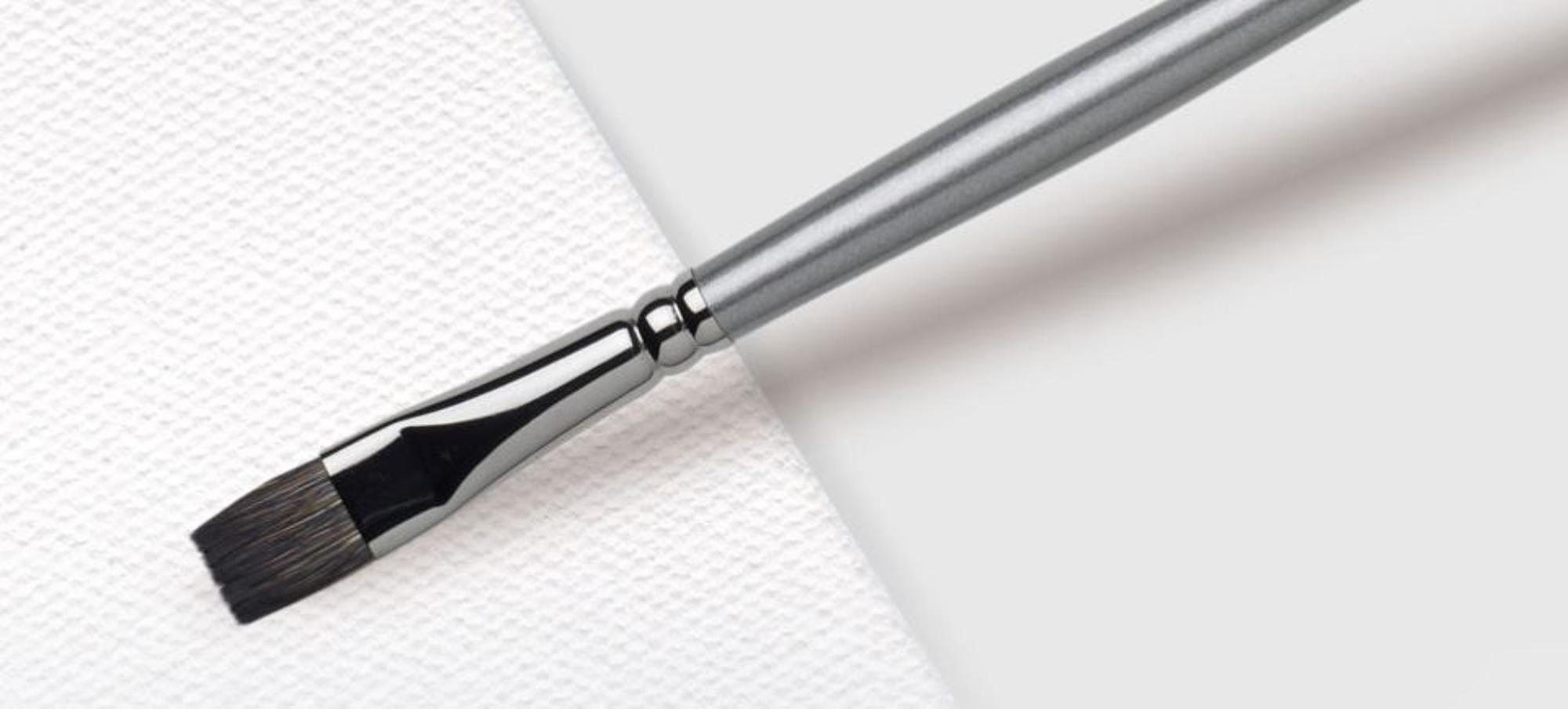 image of: Eclipse Natural Hair Long Handle Brushes