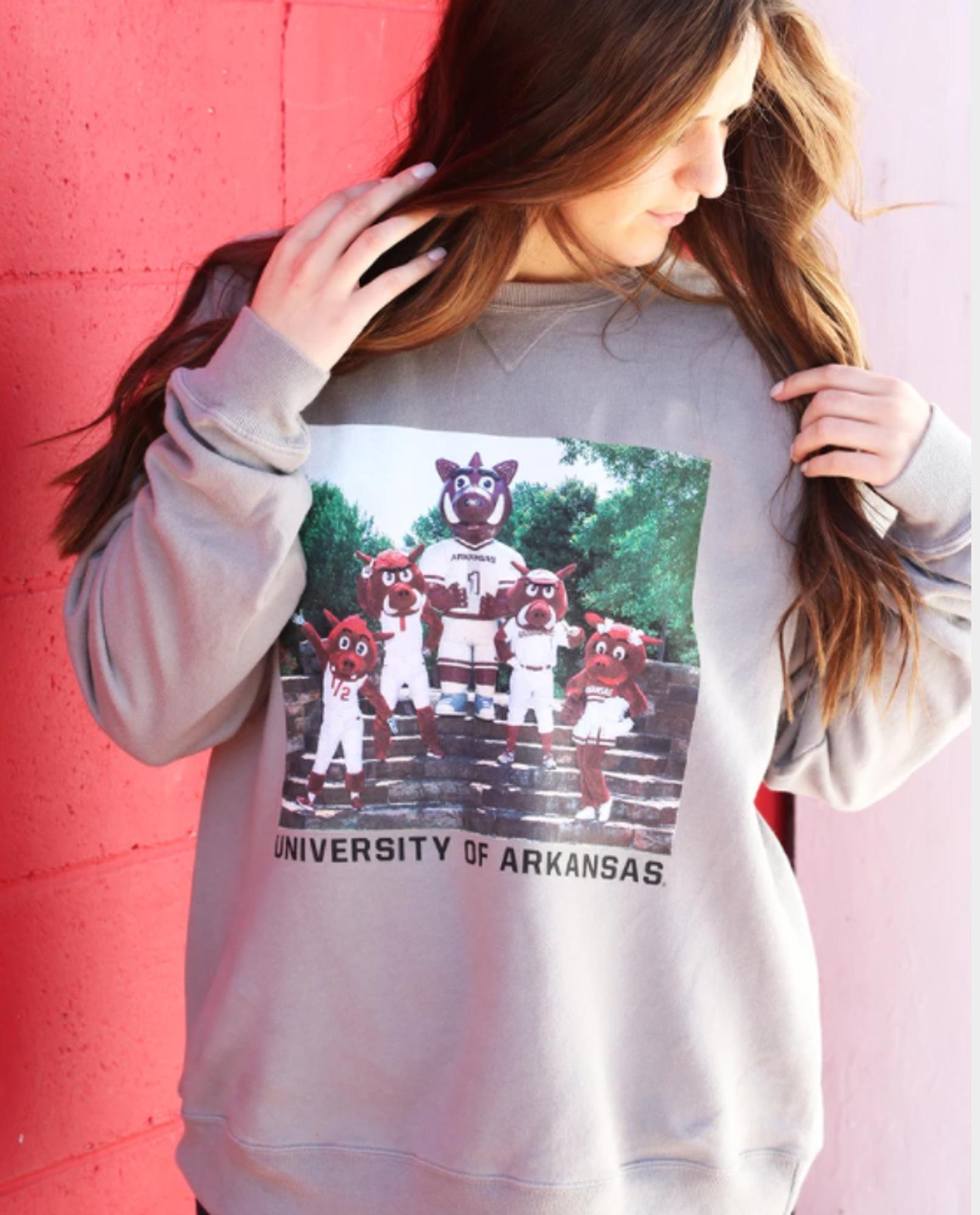 image of: University of Arkansas Football Mascot Family Crew Sweatshirt - Grey