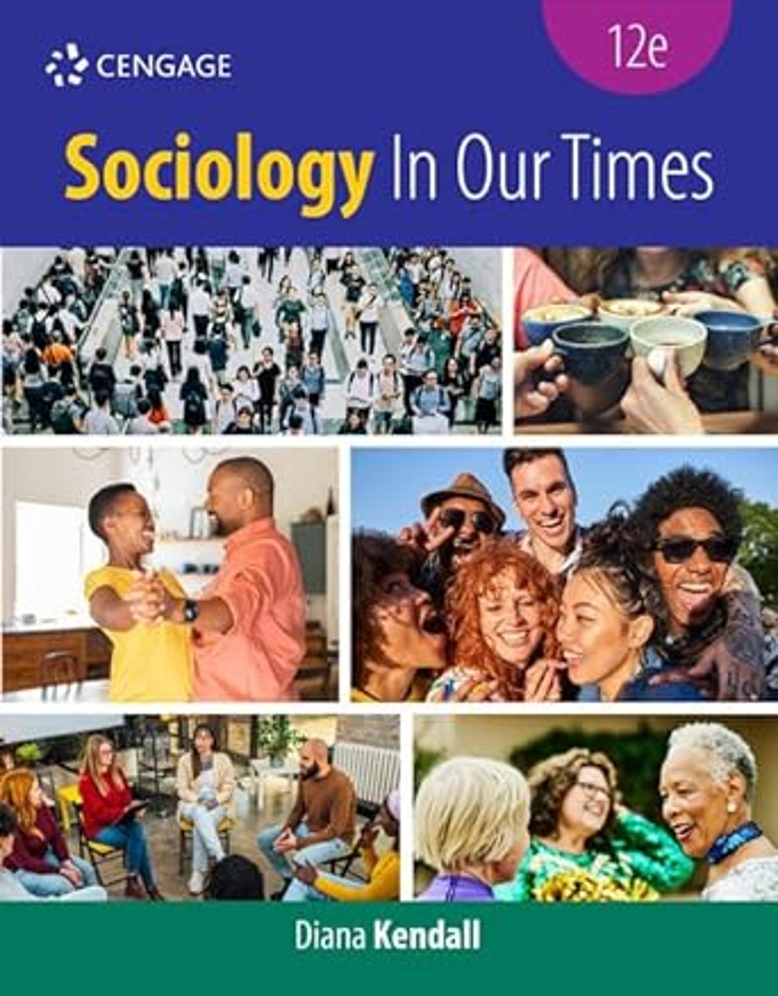 Cover image for SOCIOLOGY IN OUR TIMES