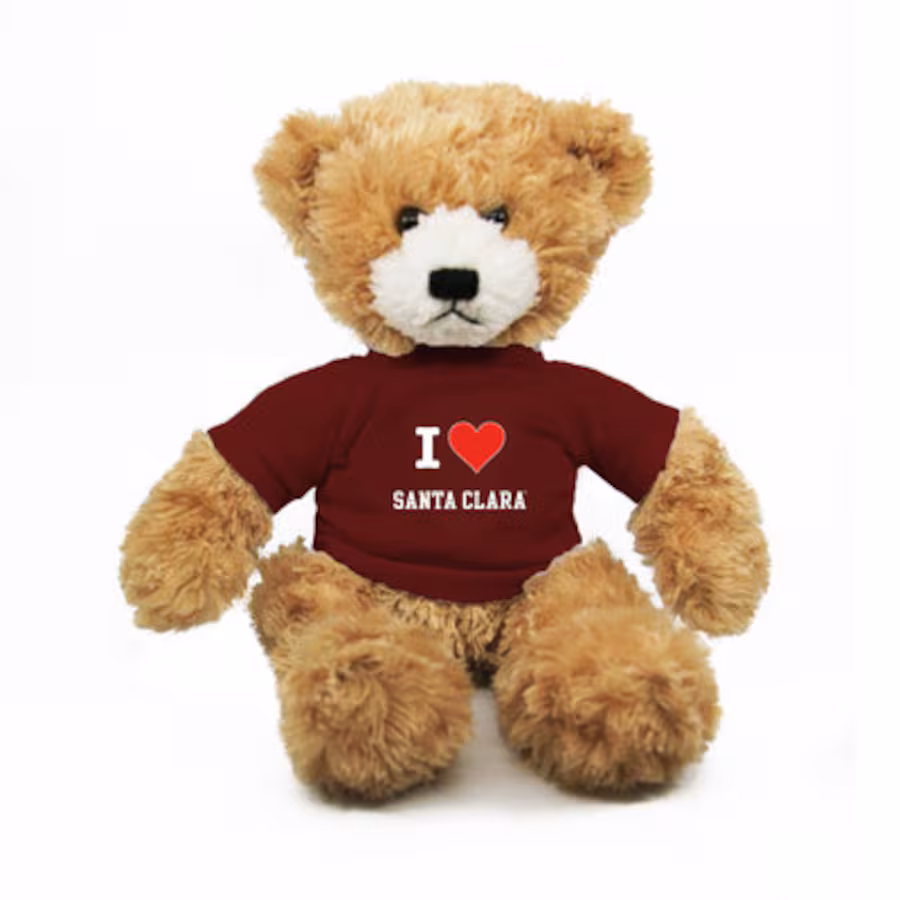 Enlarged product image