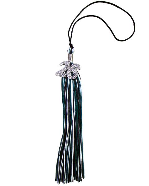 GRADUATION BLING TASSEL; $19.99