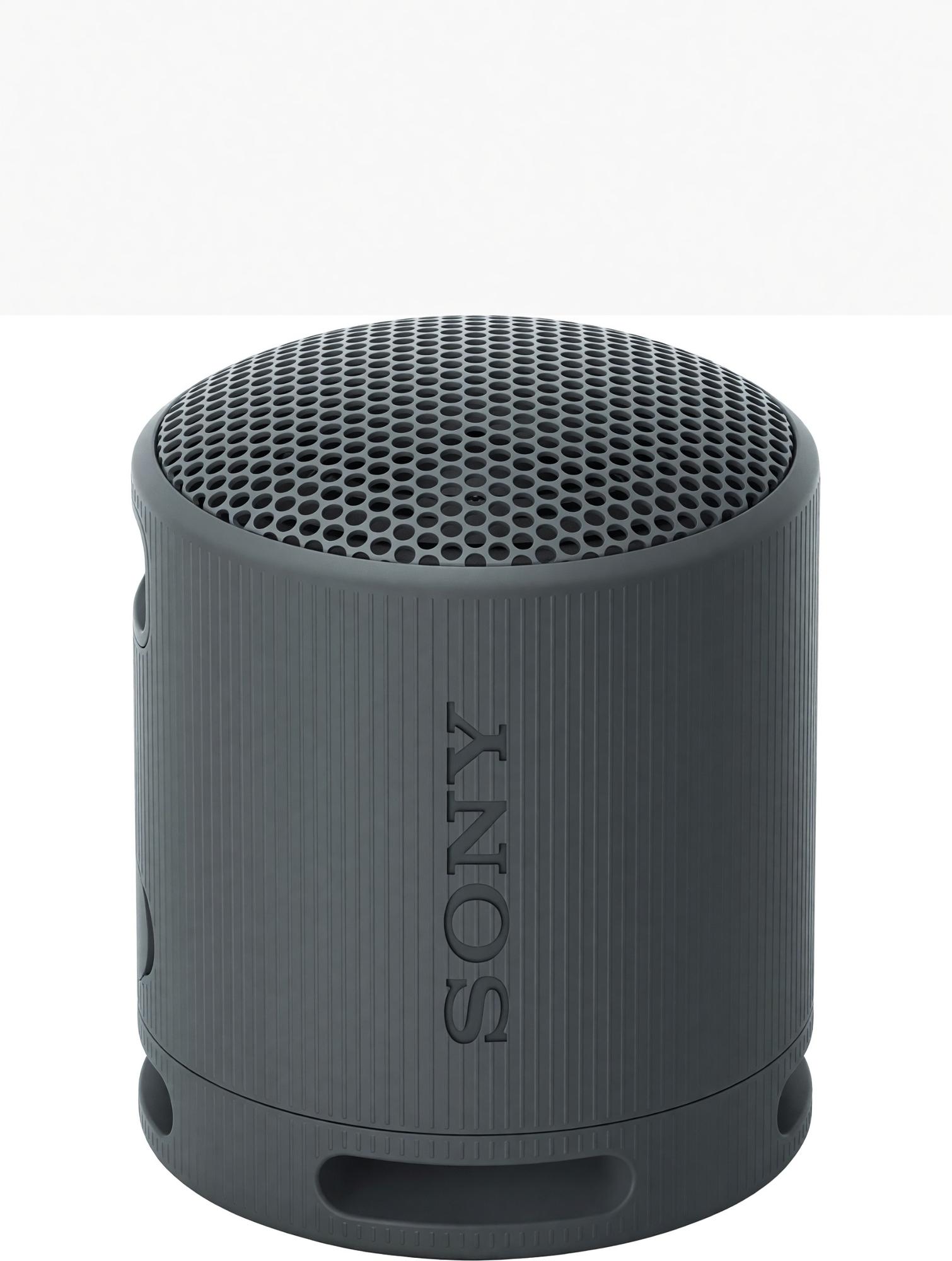 Product image 1 of 1 for Sony Portable Wireless Speaker