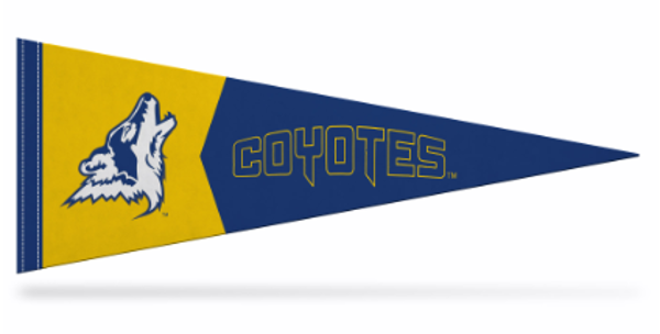 CSN 9X24 FELT PENNANT MASCOT; $11.99
