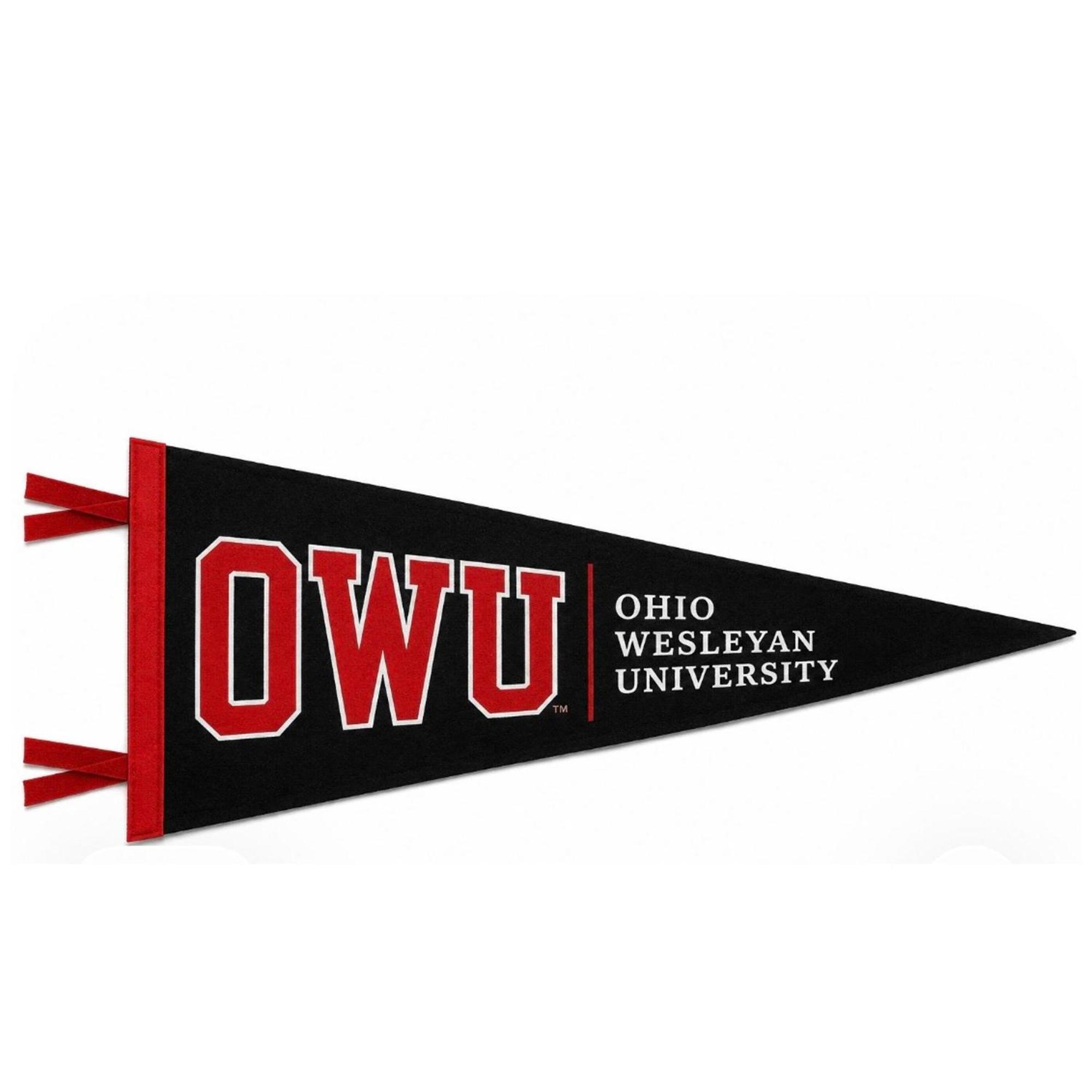 Product image 1 of 1 for Owu Pennant 9"X24"