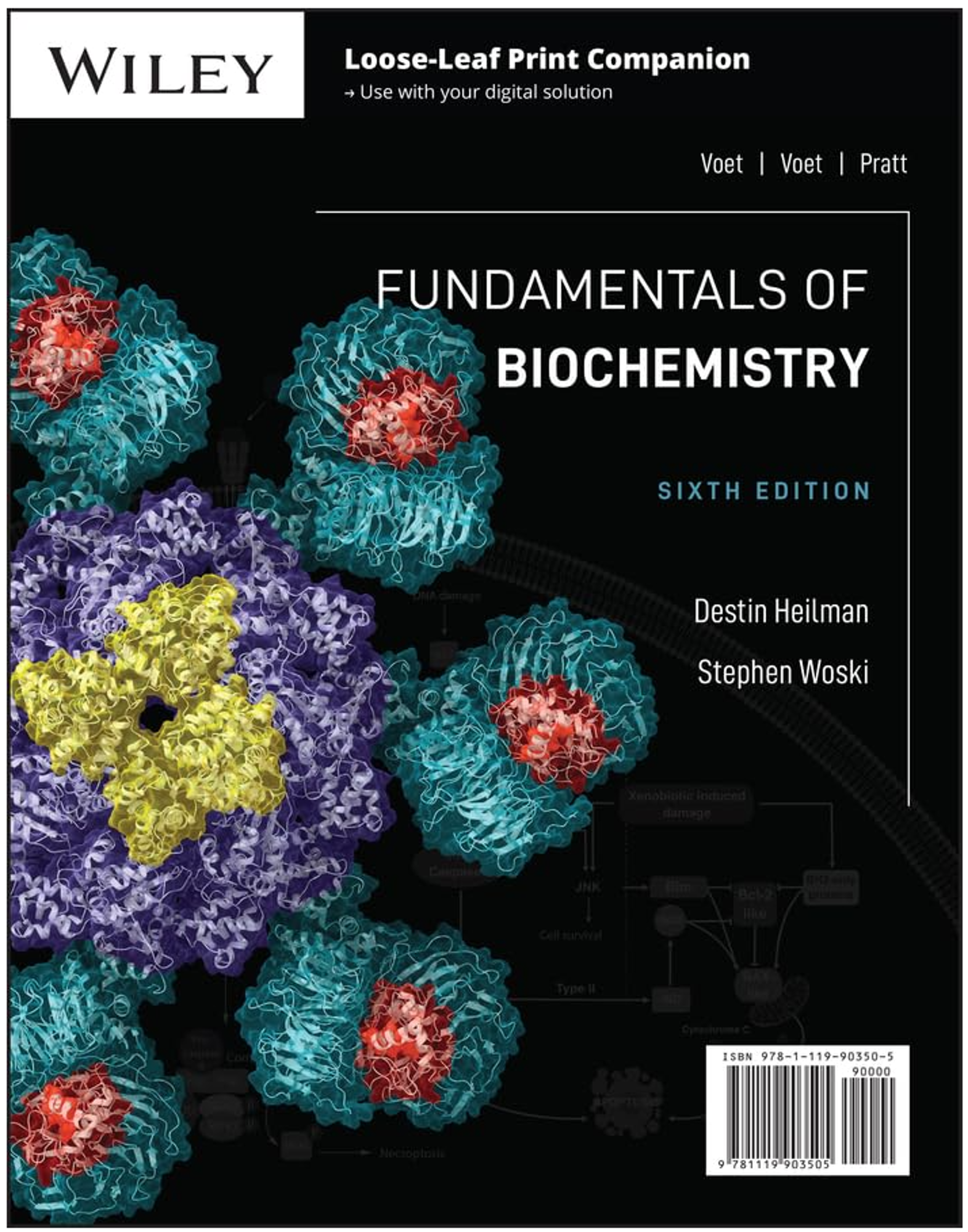Cover image for FUNDAMENTALS OF BIOCHEMISTRY (LL)