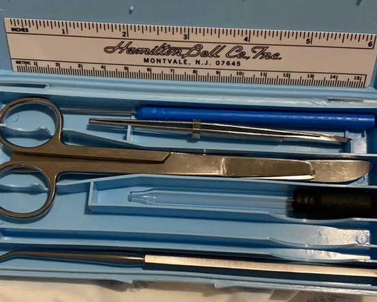 Cover image for * DO NOT USE * DISSECTION KIT #10 71900010