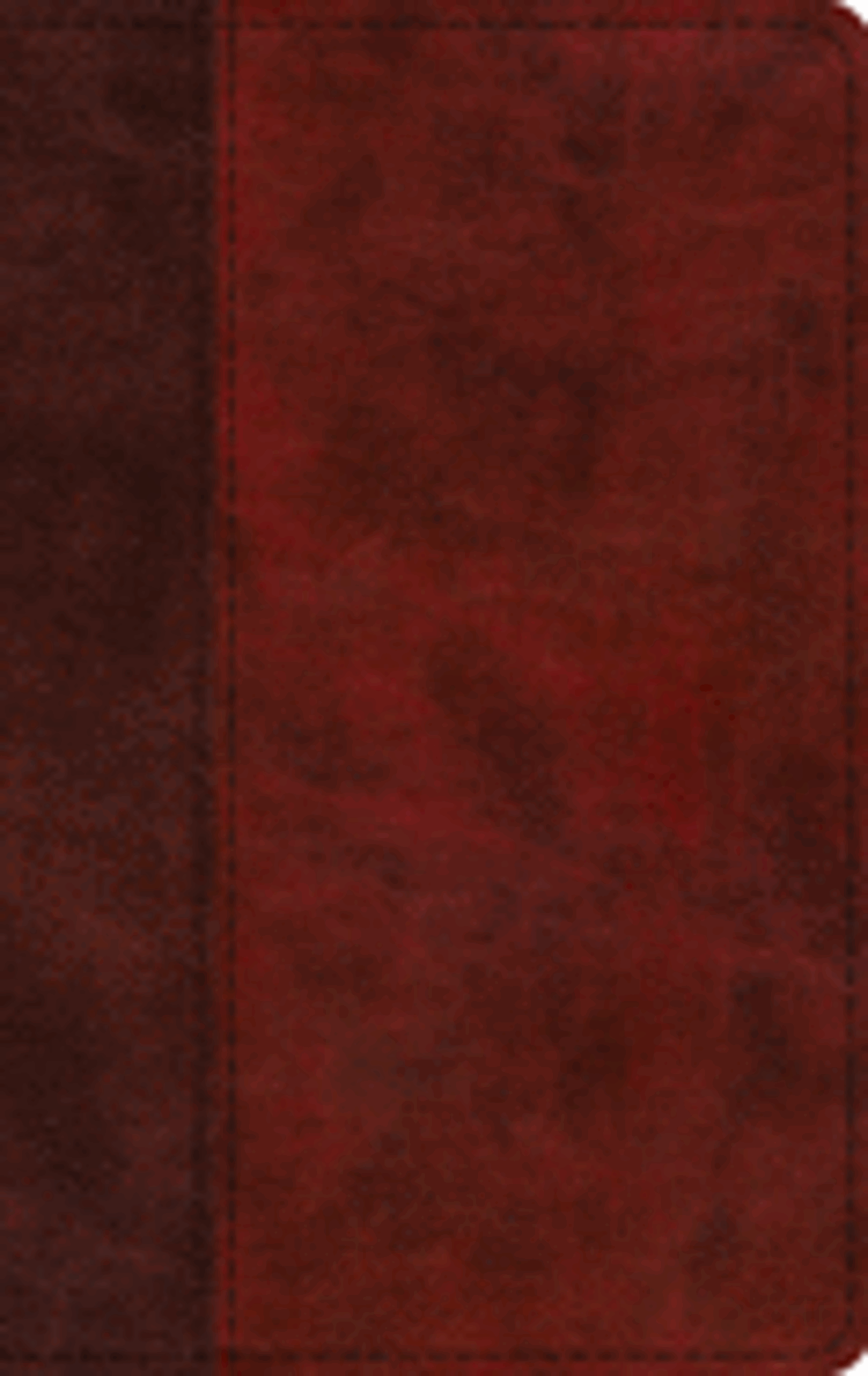 Cover image for ESV LP Thinline Bible, Burgundy