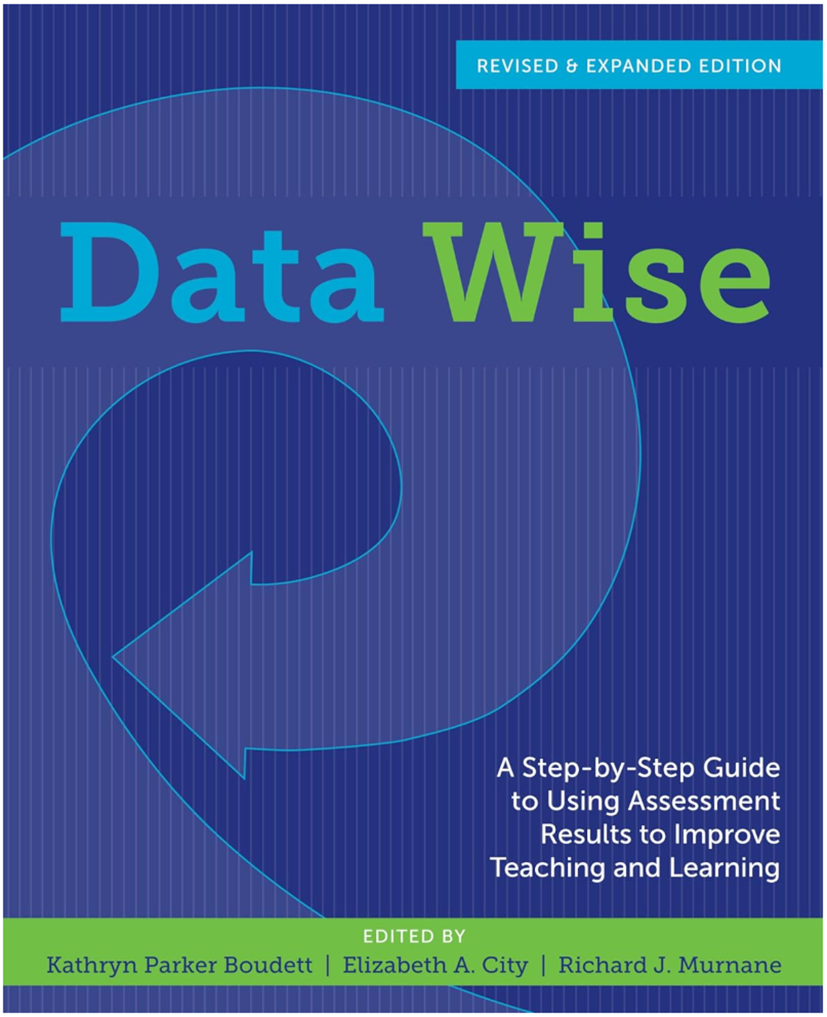 Cover image for DATA WISE