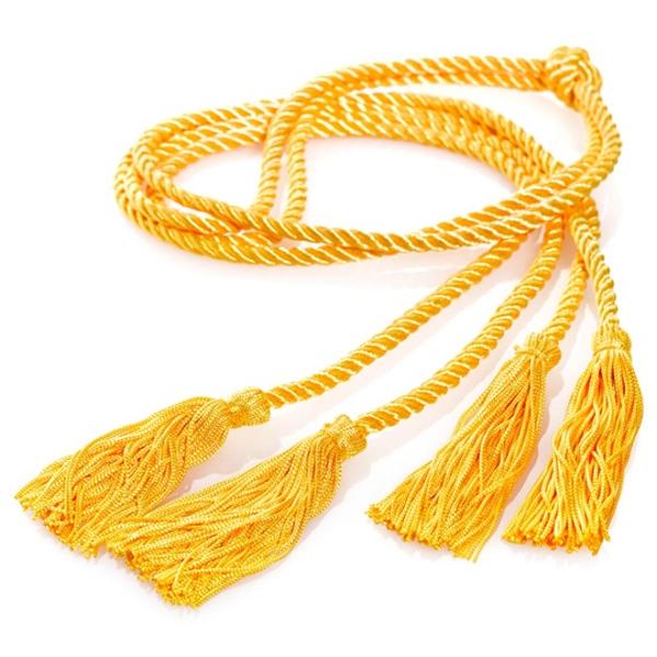 GRADUATION HONOR CORD; $14.99