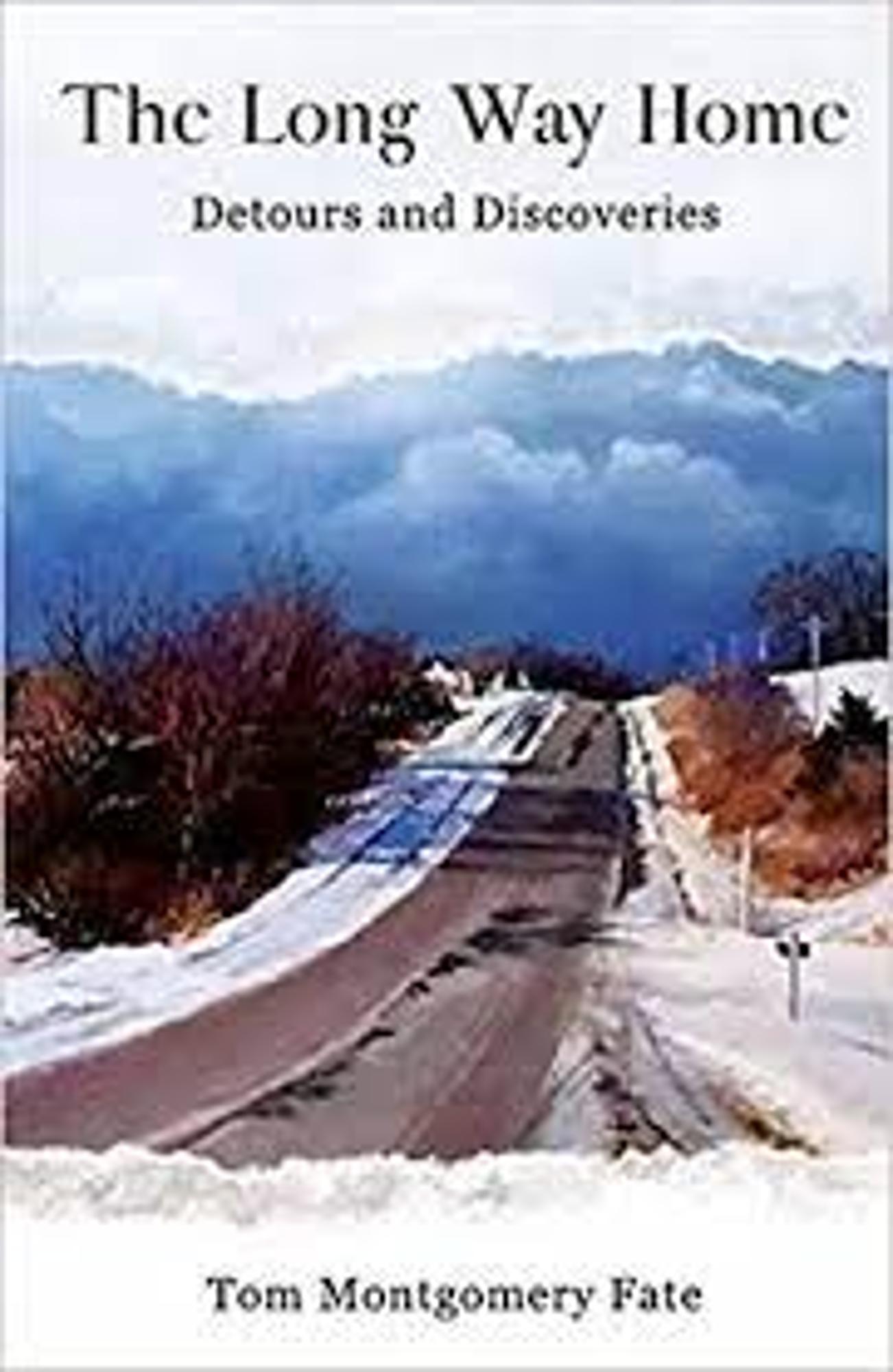 Cover image for FATE /The Long Way Home