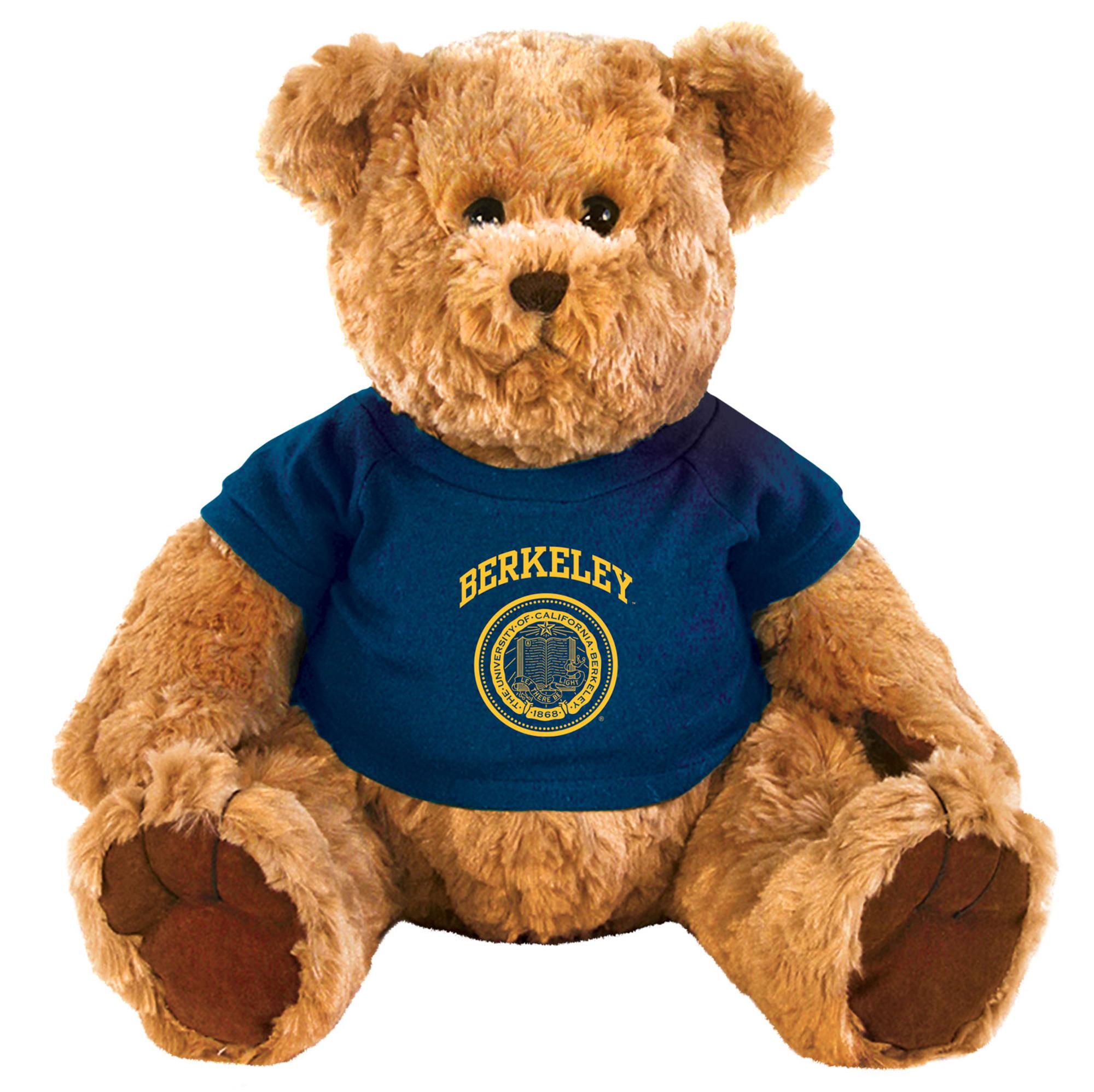 Product image 1 of 1 for 16" Traditional Bear with Berkeley Seal T