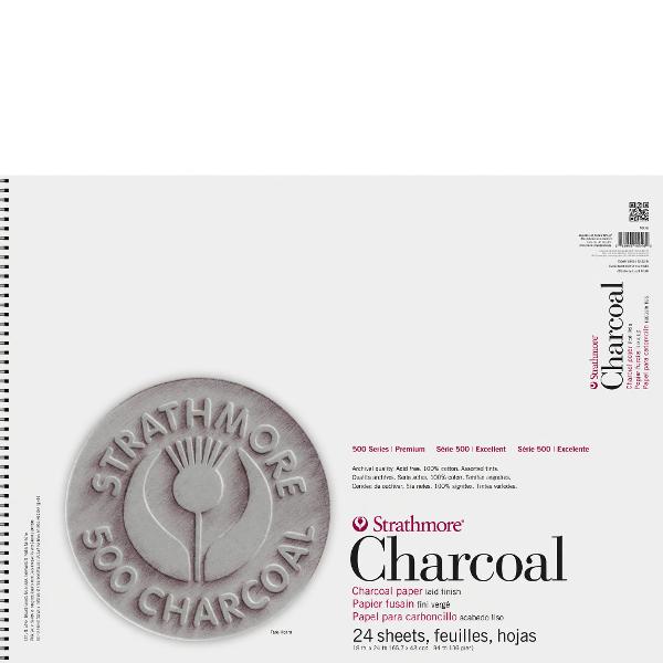 STR CHARCOAL PAD ASST PAPER; $34.99