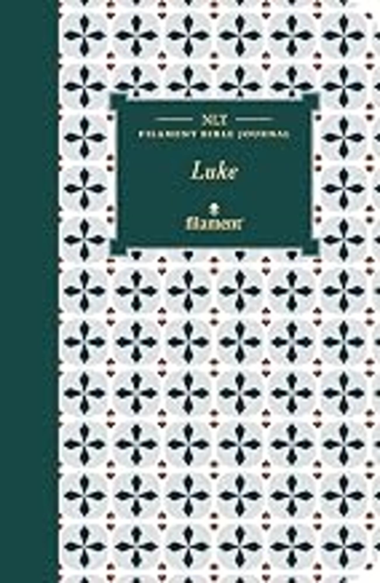 Cover image for NLT Filament Bible Journal: Luke (Softcover)