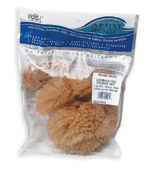 SPONGE SET COMBINATION 4pk; $5.99